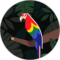Muqqarab Khan Avatar