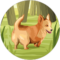 Huma Yun Avatar